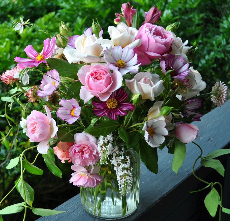 Wildflower Rose Mix