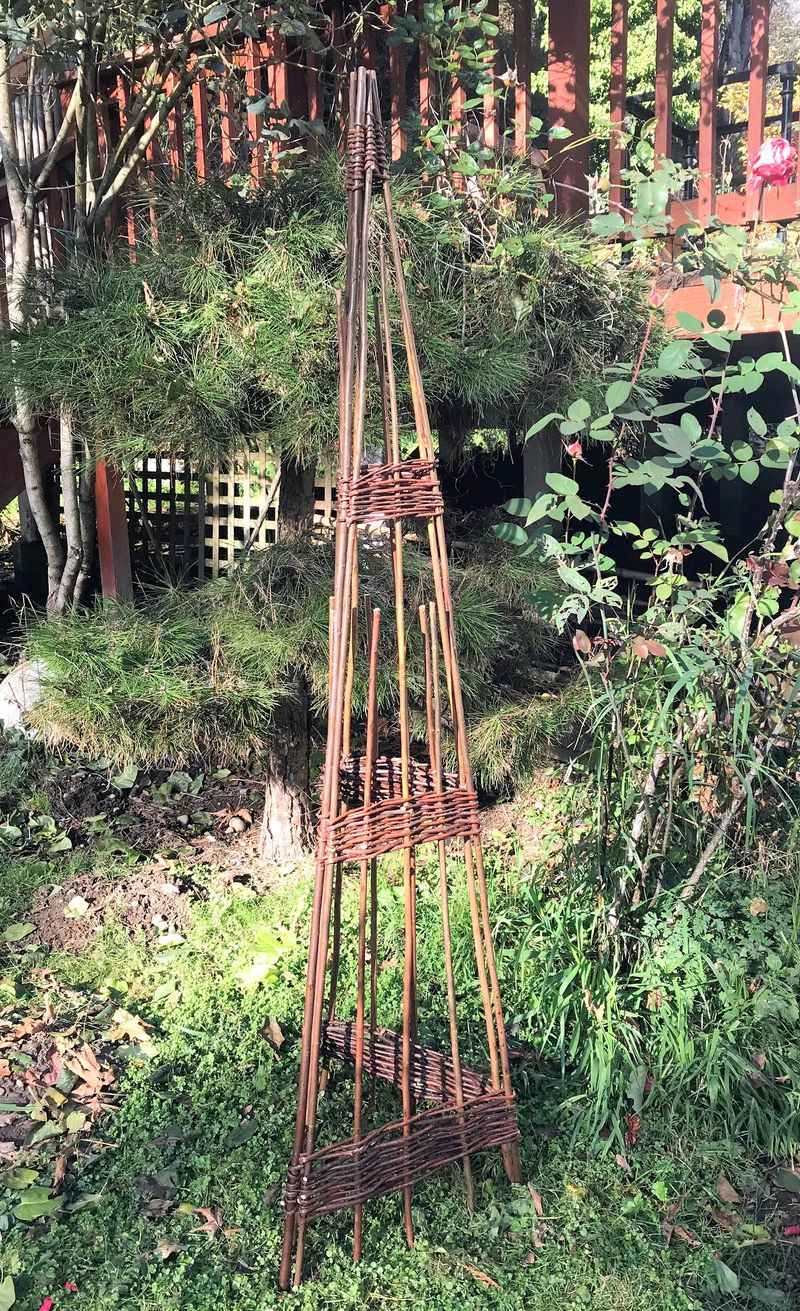 Willow Wigwam Trellis