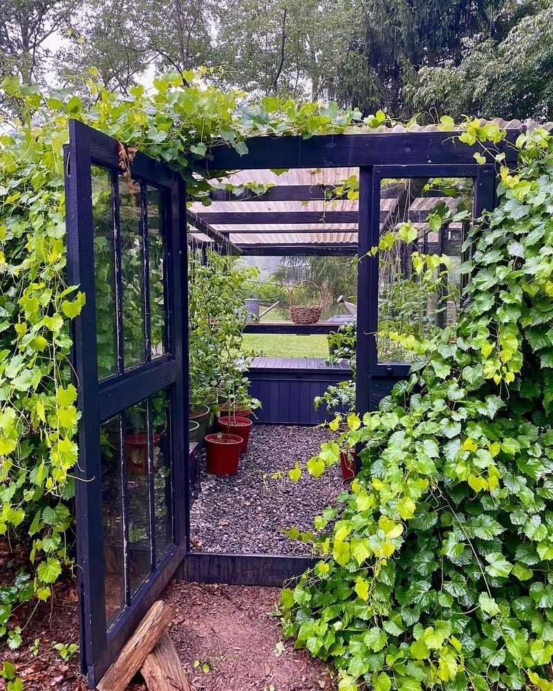 Window Frame Trellis