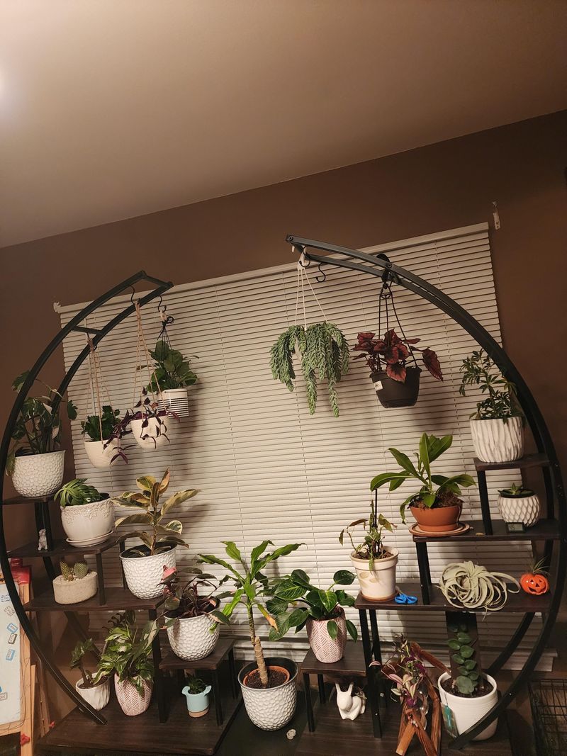 Wire Basket Plant Stand