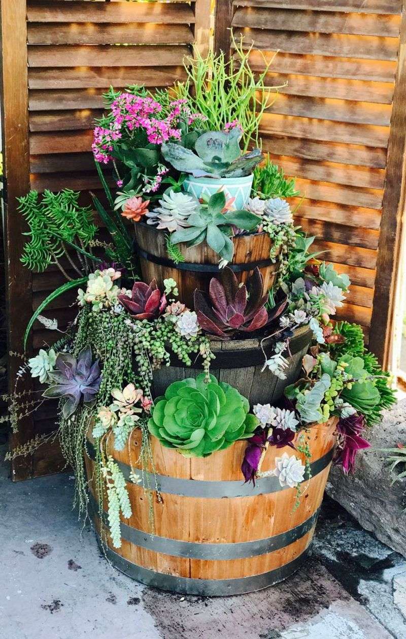 Wooden Barrel Terrarium