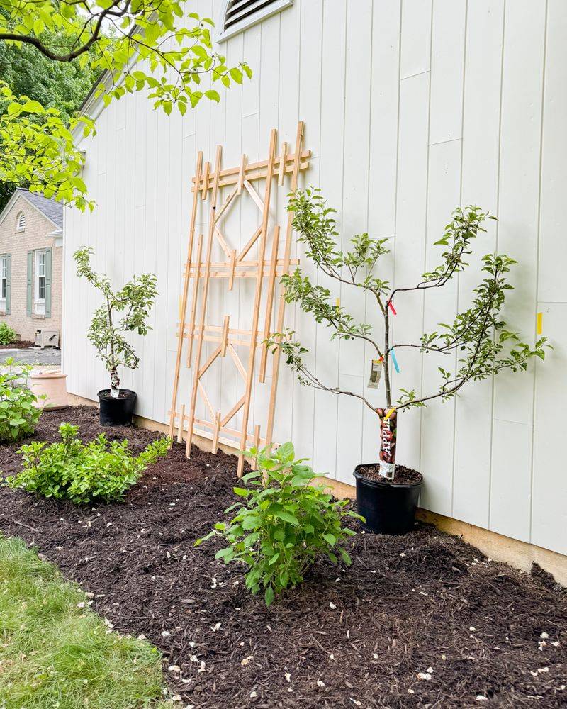 Wooden Garden Trellises