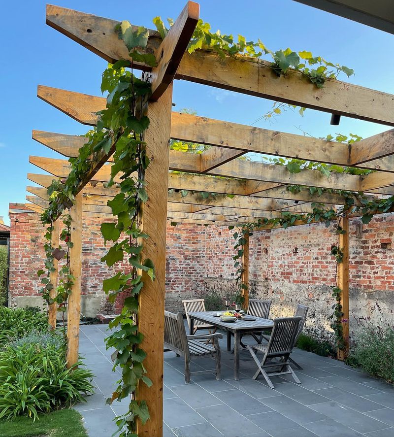 Wooden Pergola with Vines