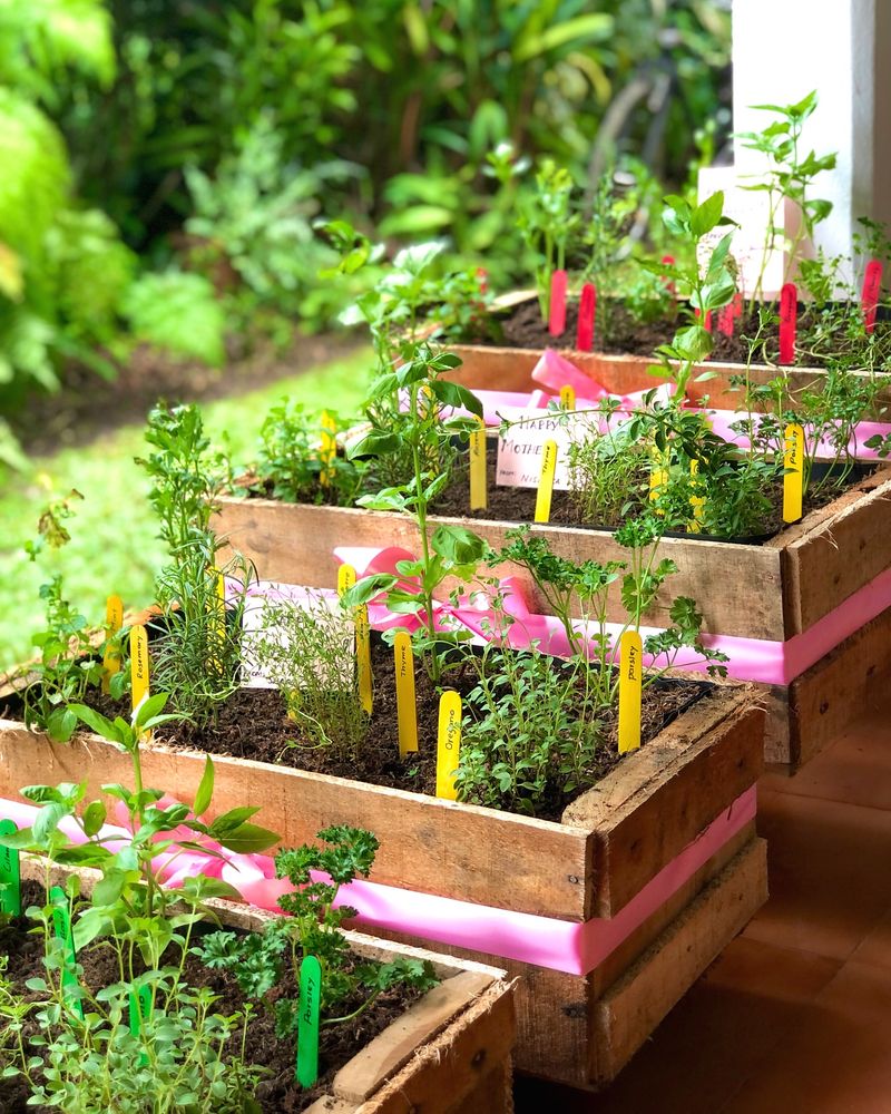 Wooden Wine Crates