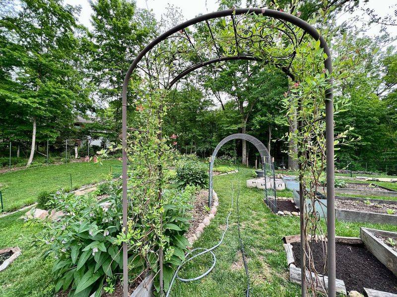 Wrought Iron Arch Trellis