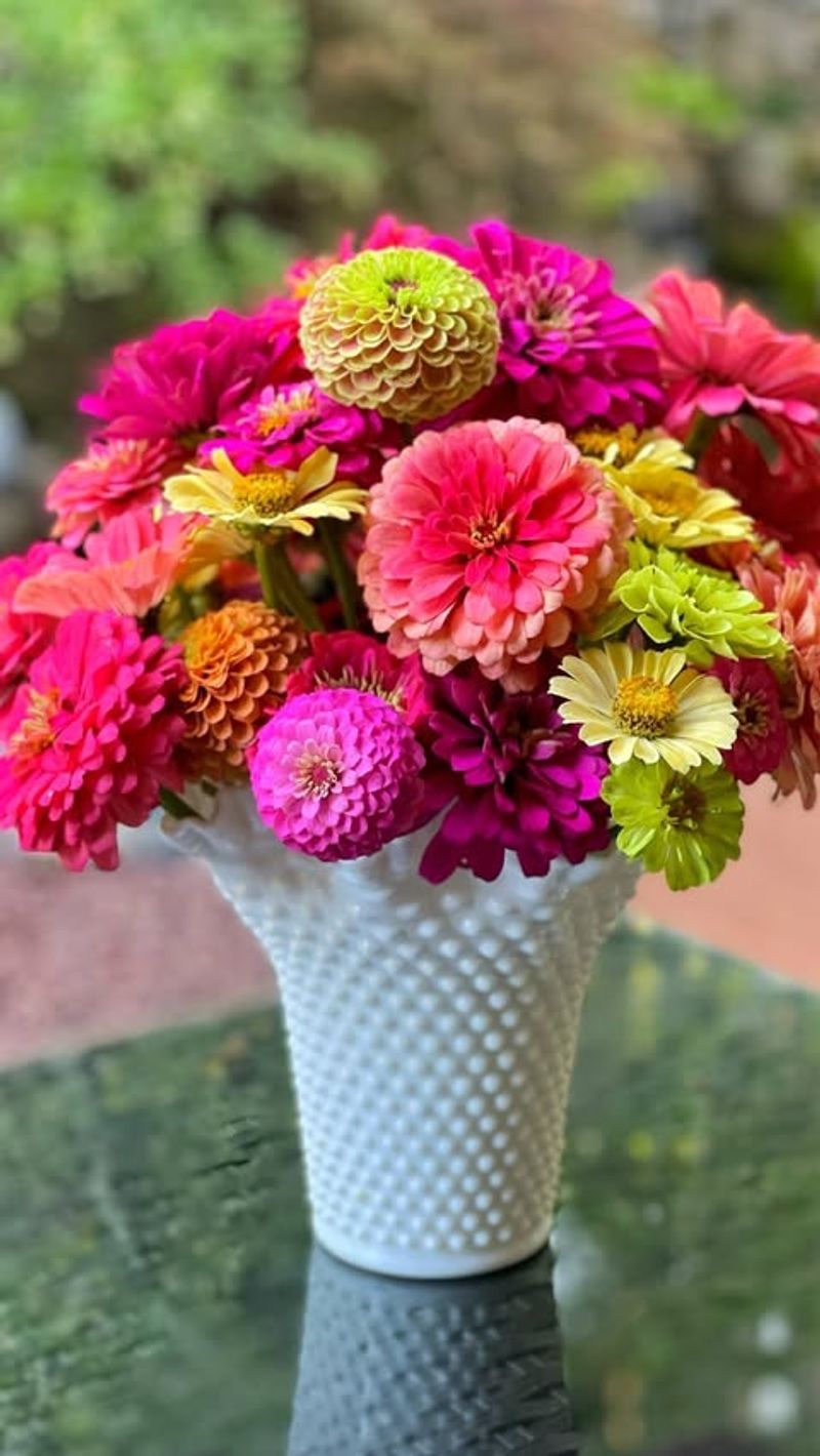 Zinnias