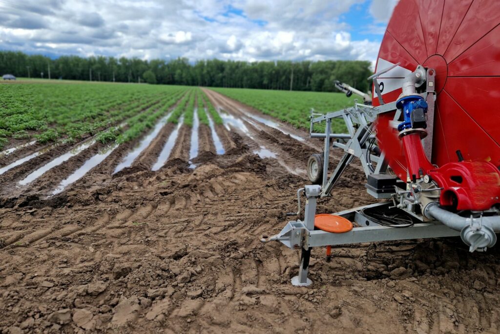 compacted soil in a field