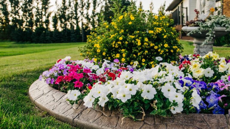 26 Flower Bed Ideas For Full Sun