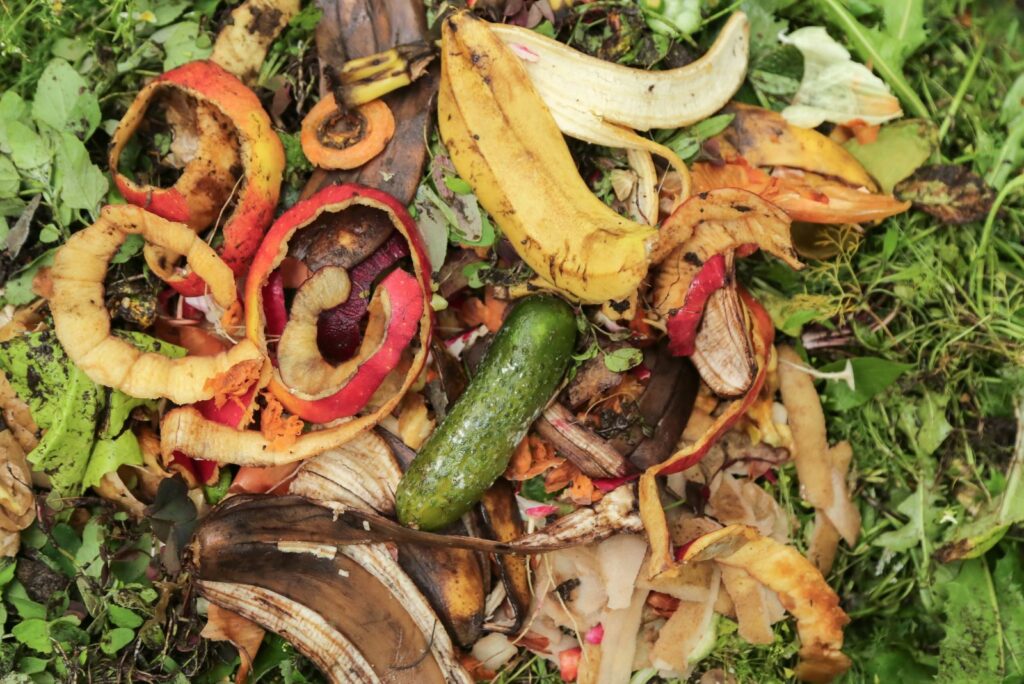 fruit and vegetable compost