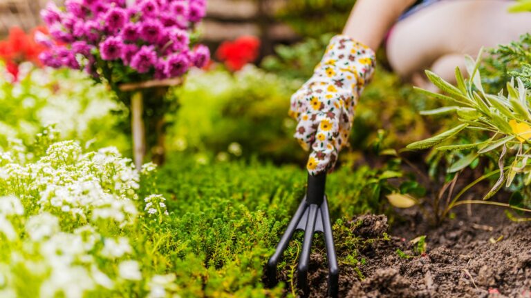 21 Gardening Tips That May Actually Do More Harm Than Good