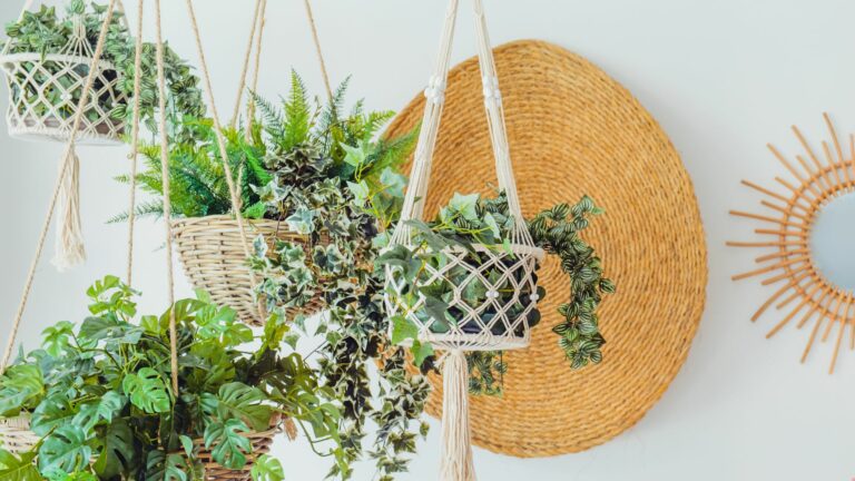 29 Easy Hanging Plants To Enhance Your Indoor Garden