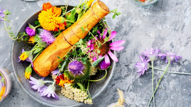 22 Medicinal Flowers & How To Use Them