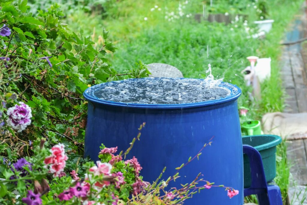 rain barrel