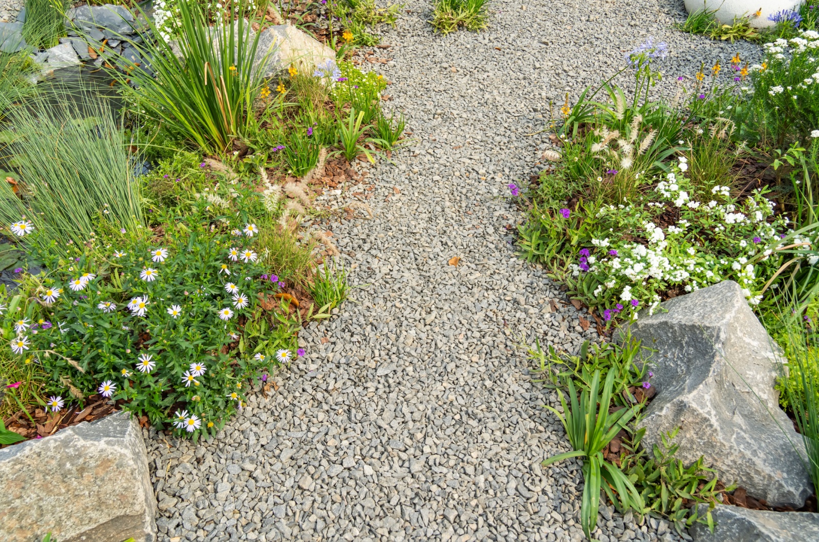 rock path in garden