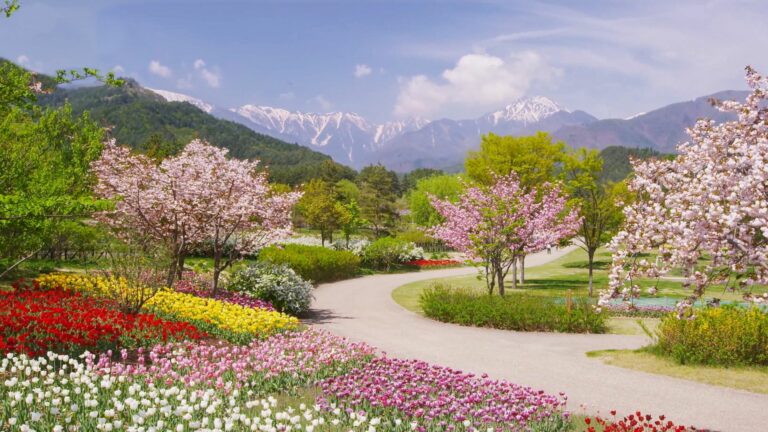 37 Flower Seeds To Plant In The Winter For A Beautiful Spring Garden