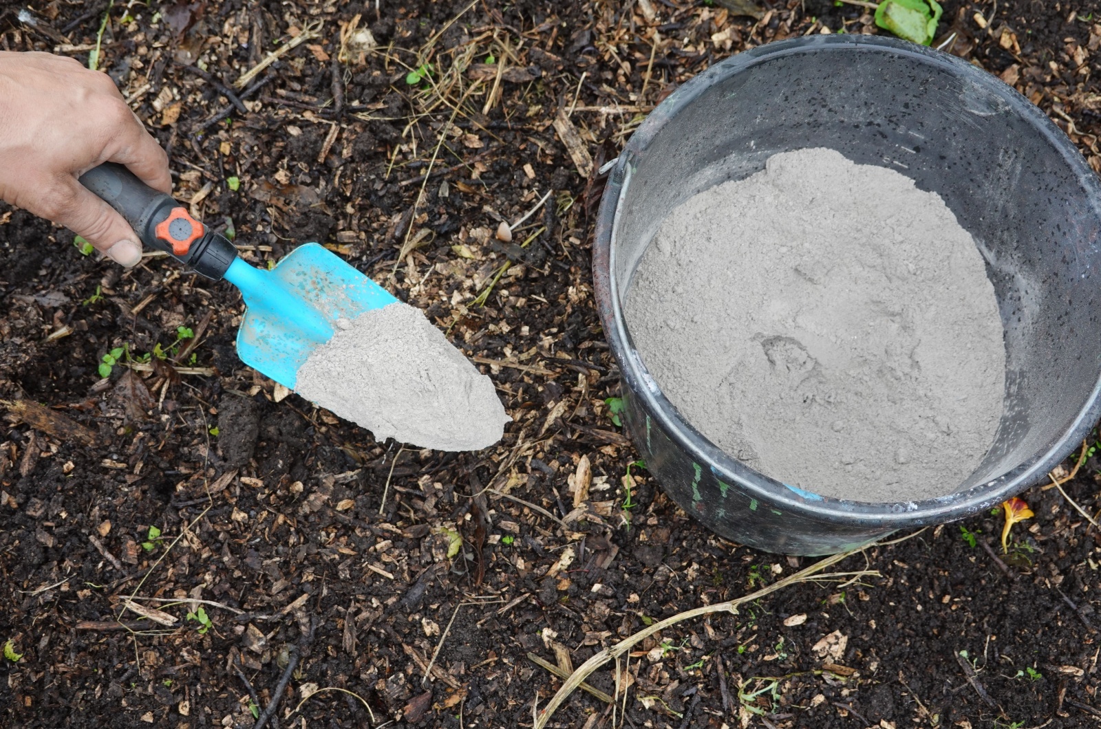 sprinkling wood ash on soil