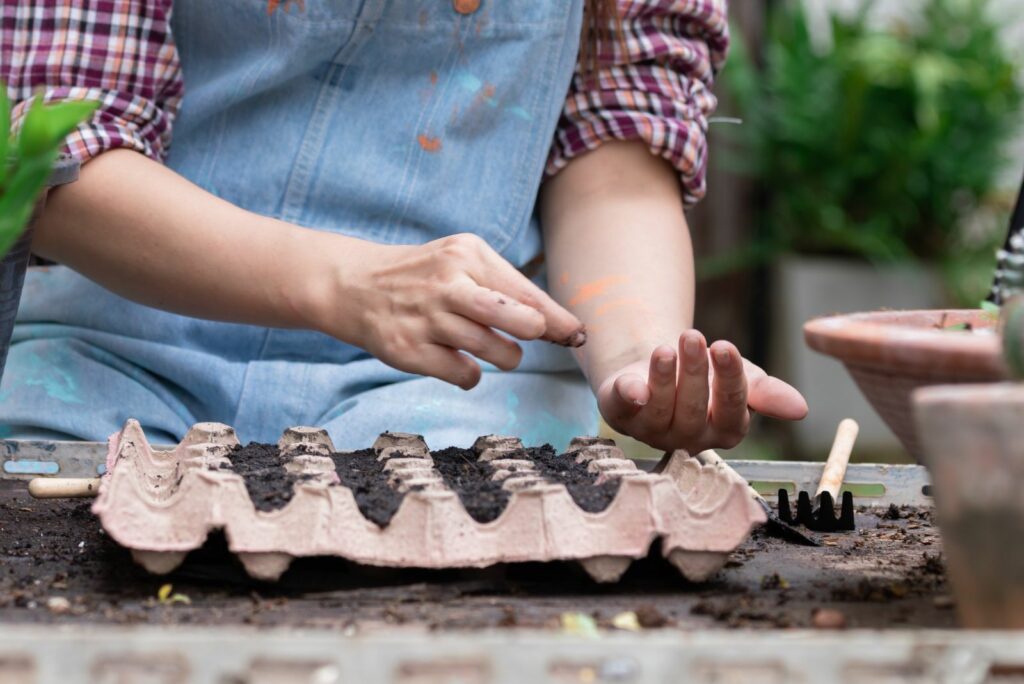 woman planting seeds in an egg carton