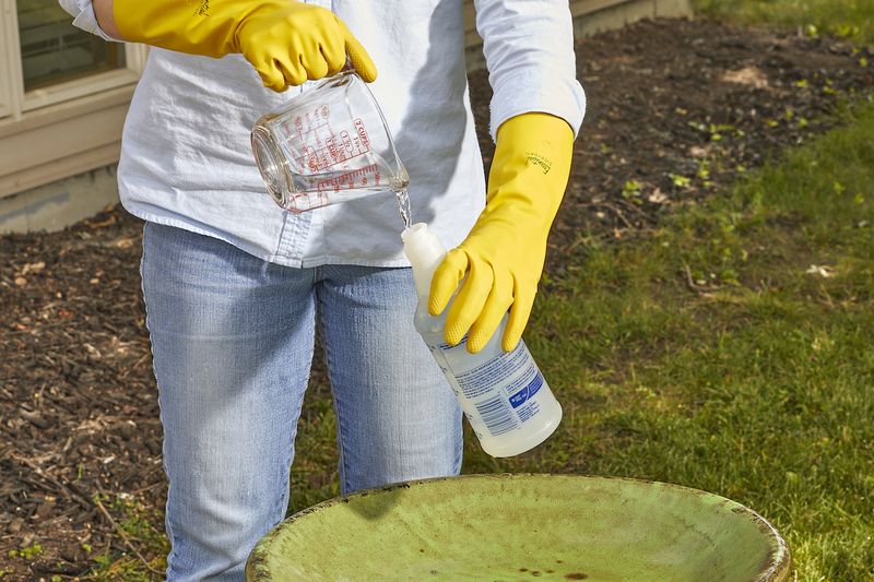 12. Bird Bath Cleaner