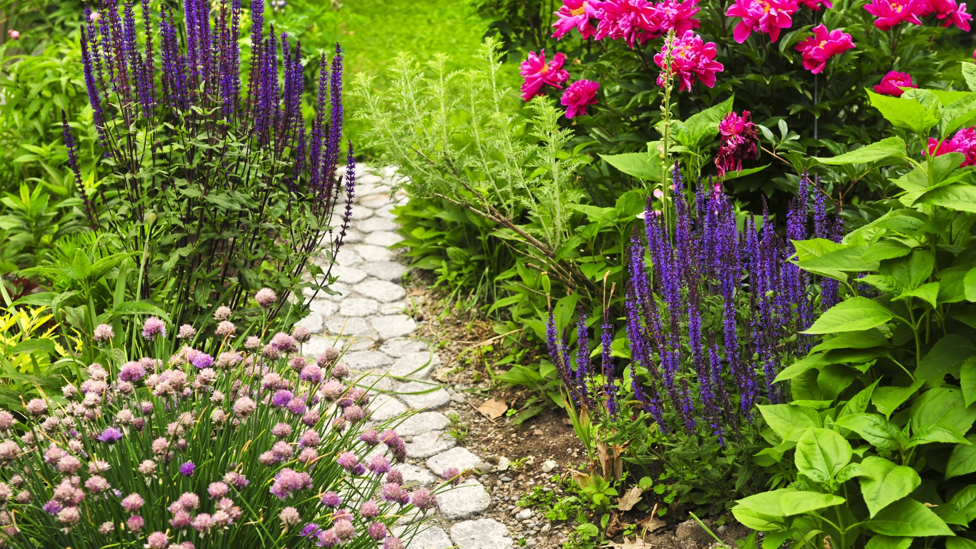 garden path