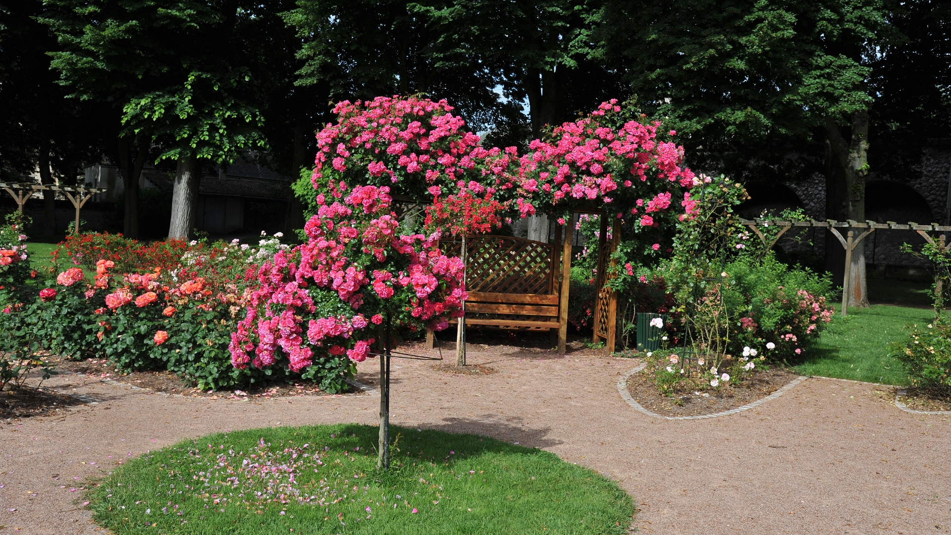 stunning landscaping