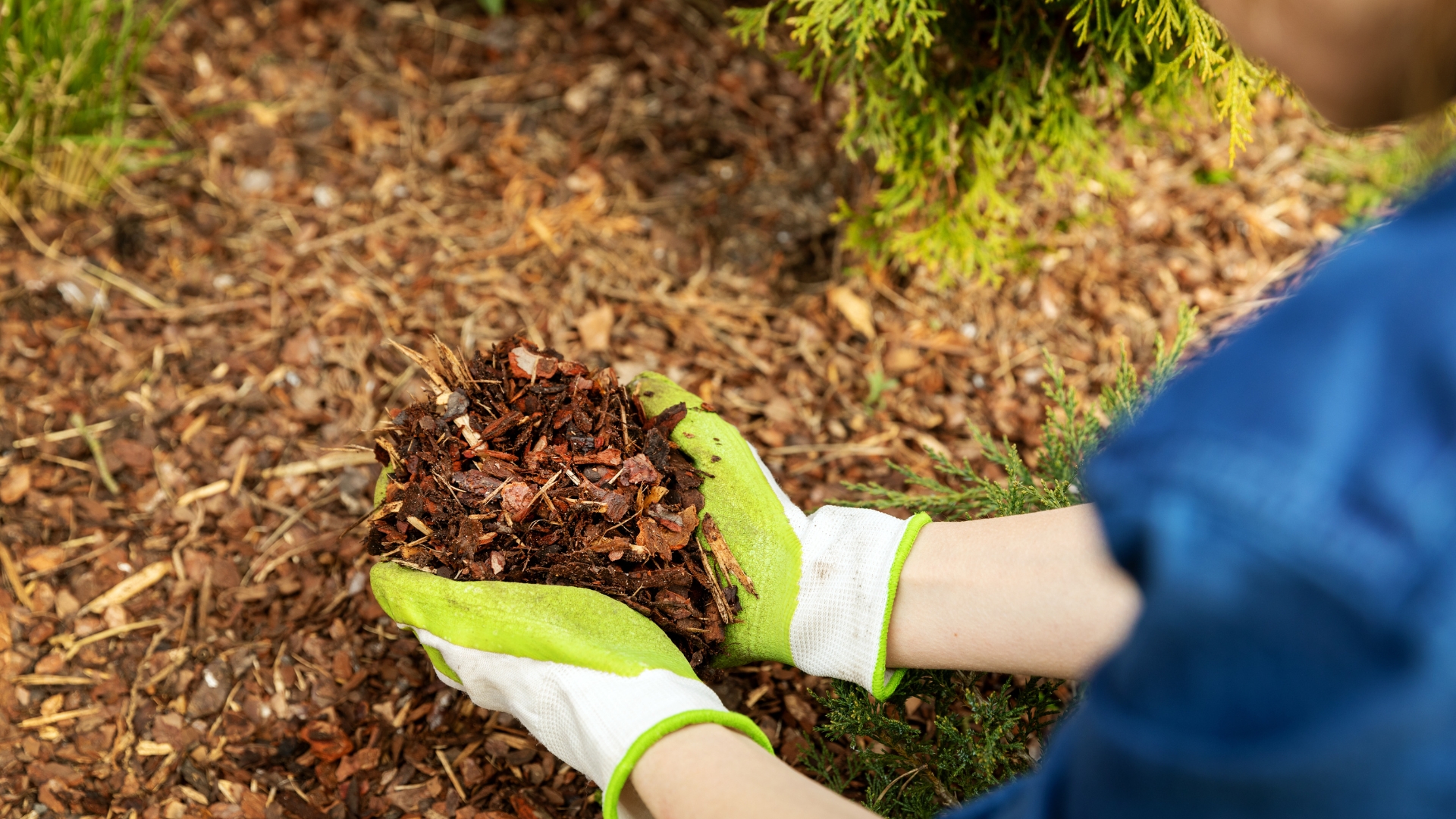 15 Reasons Why Dyed Mulch Ruined My Garden (And The Alternatives That Saved It)