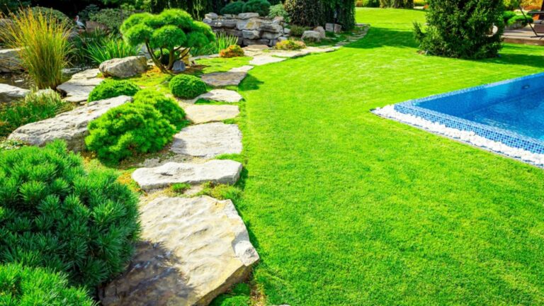 rocks and stones in landscaping