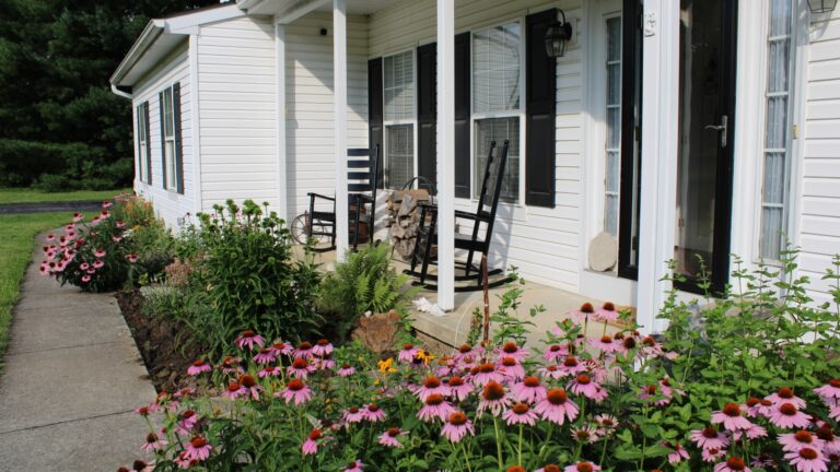 Echinacea flower bed front porch and rockers