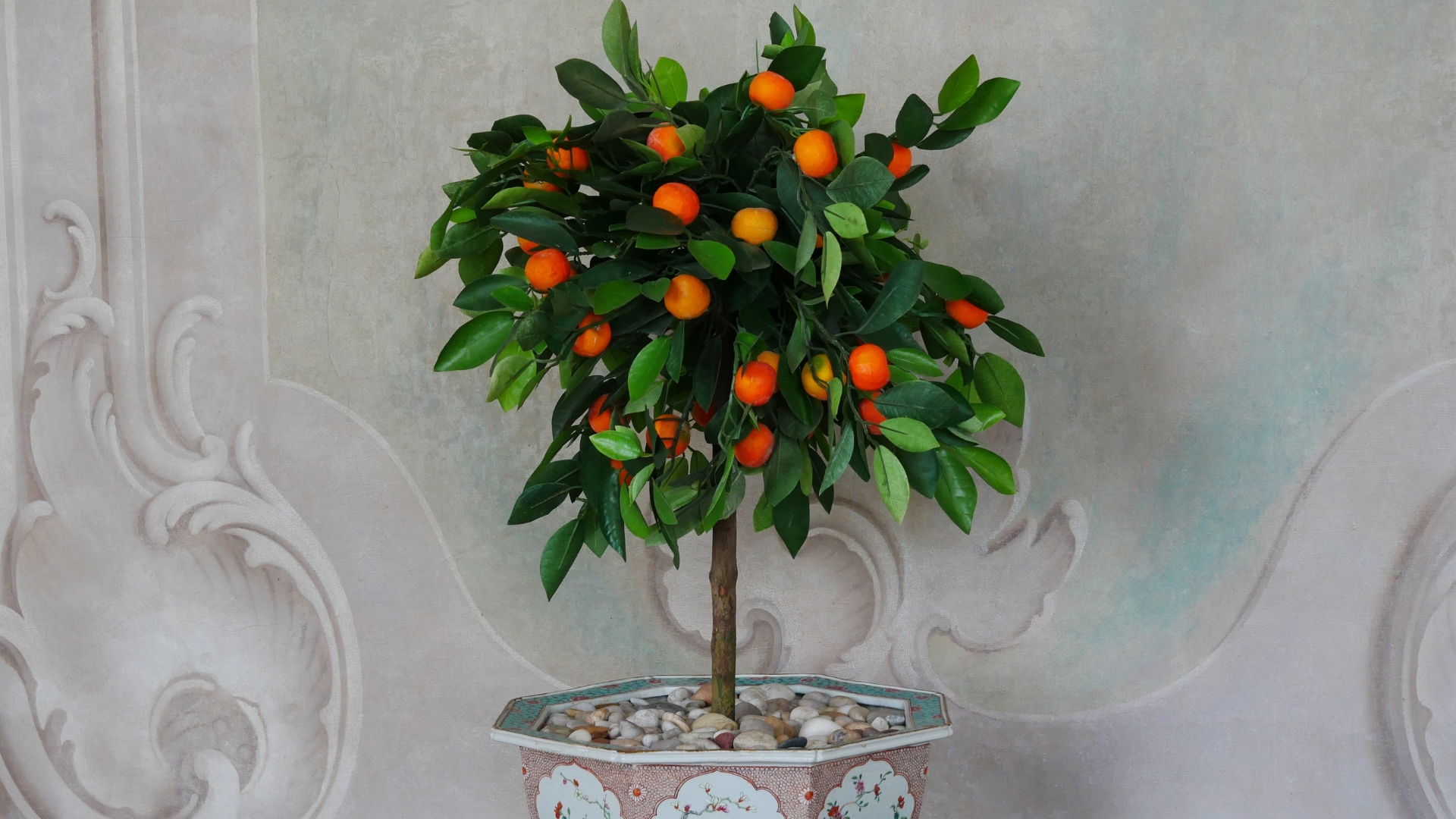 20 Indoor Fruit Trees You Can Harvest All Year Round