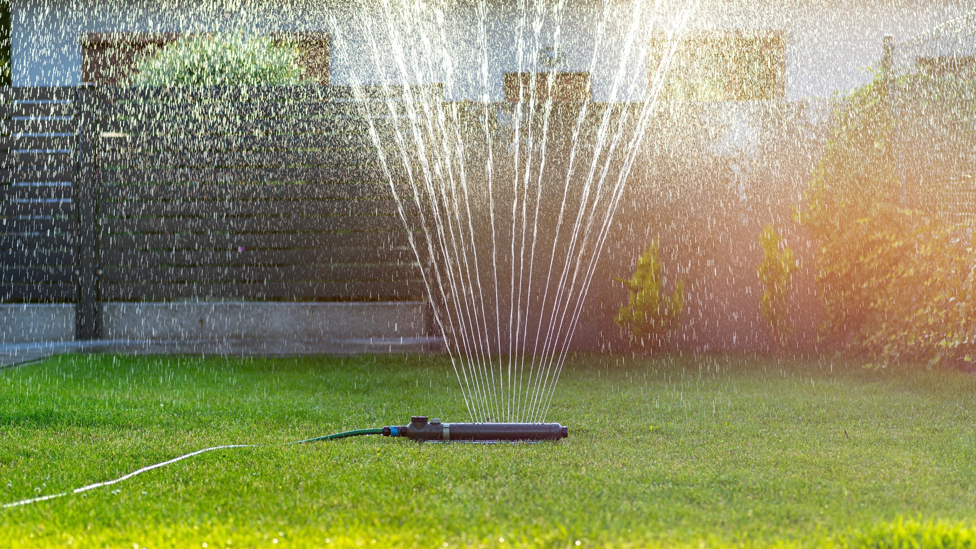 20 Mistakes You’re Definitely Making When Watering Your Lawn, From a Pro