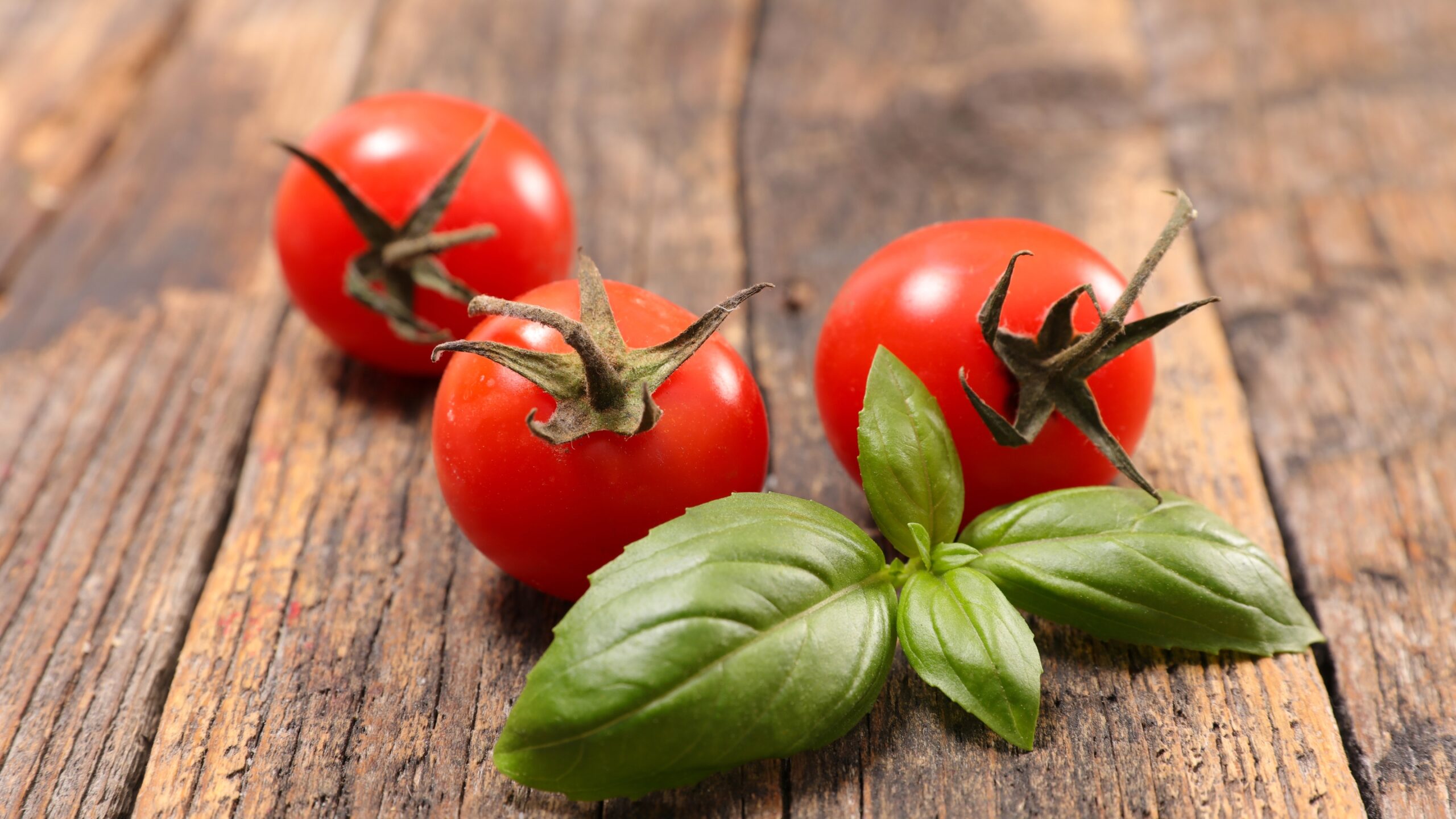 tomato and basil on a table