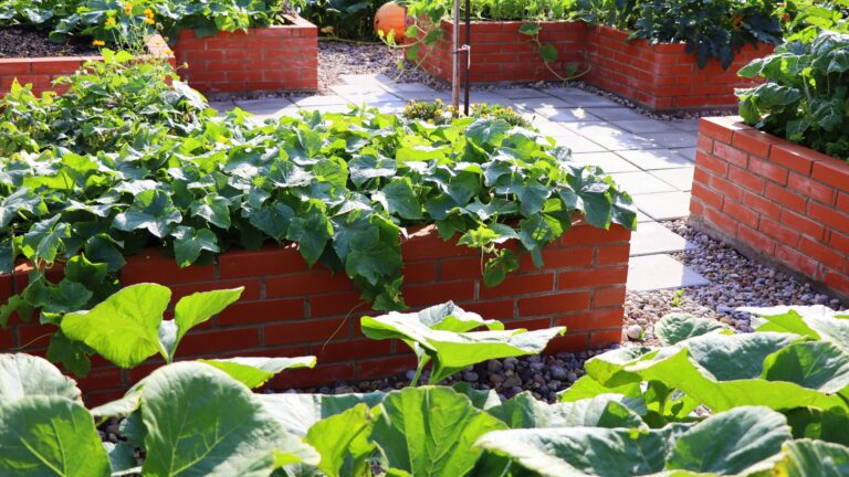 A modern vegetable garden with raised bricks beds. Raised beds gardening in an urban garden.