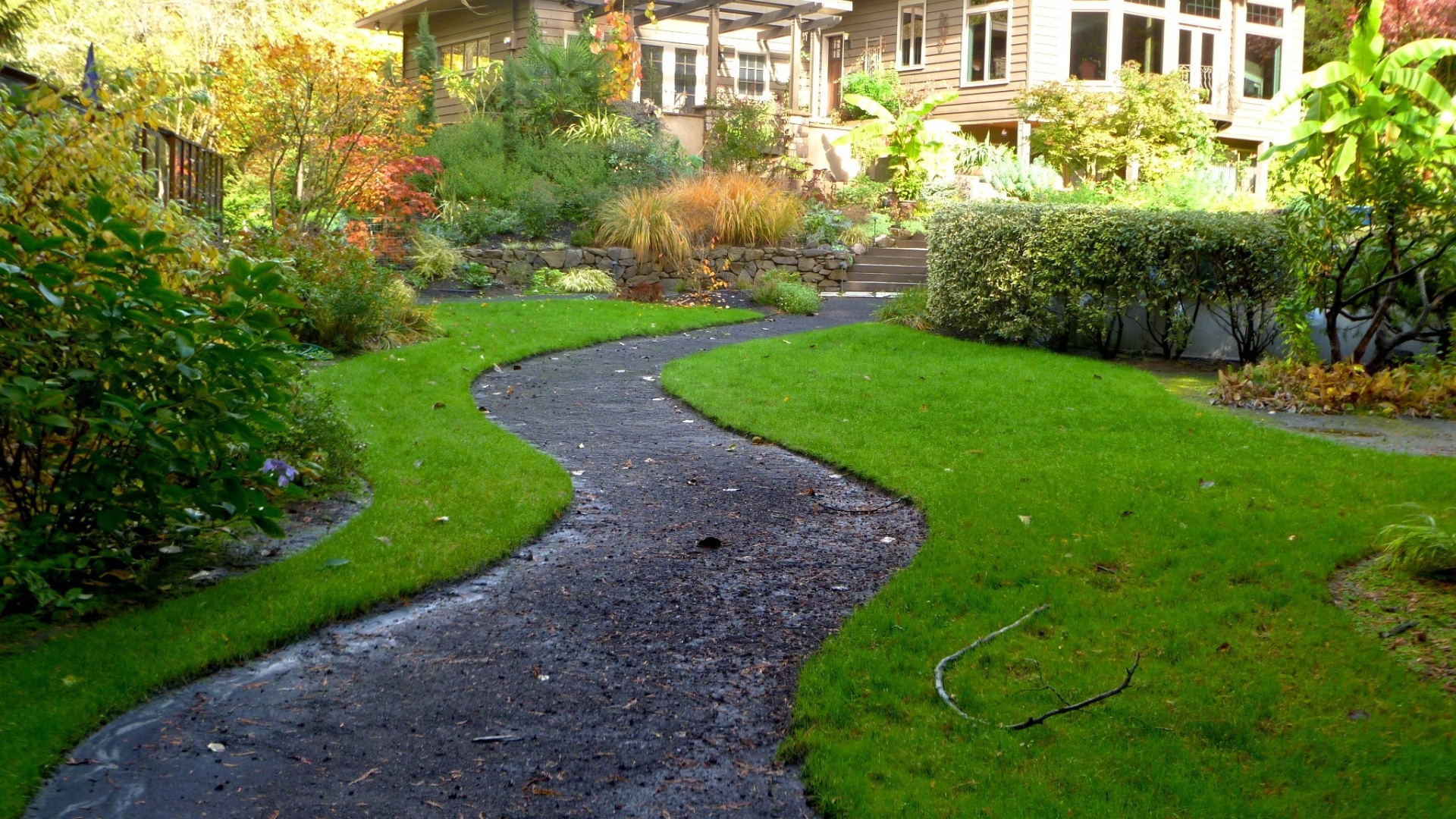 front yard with vegetation