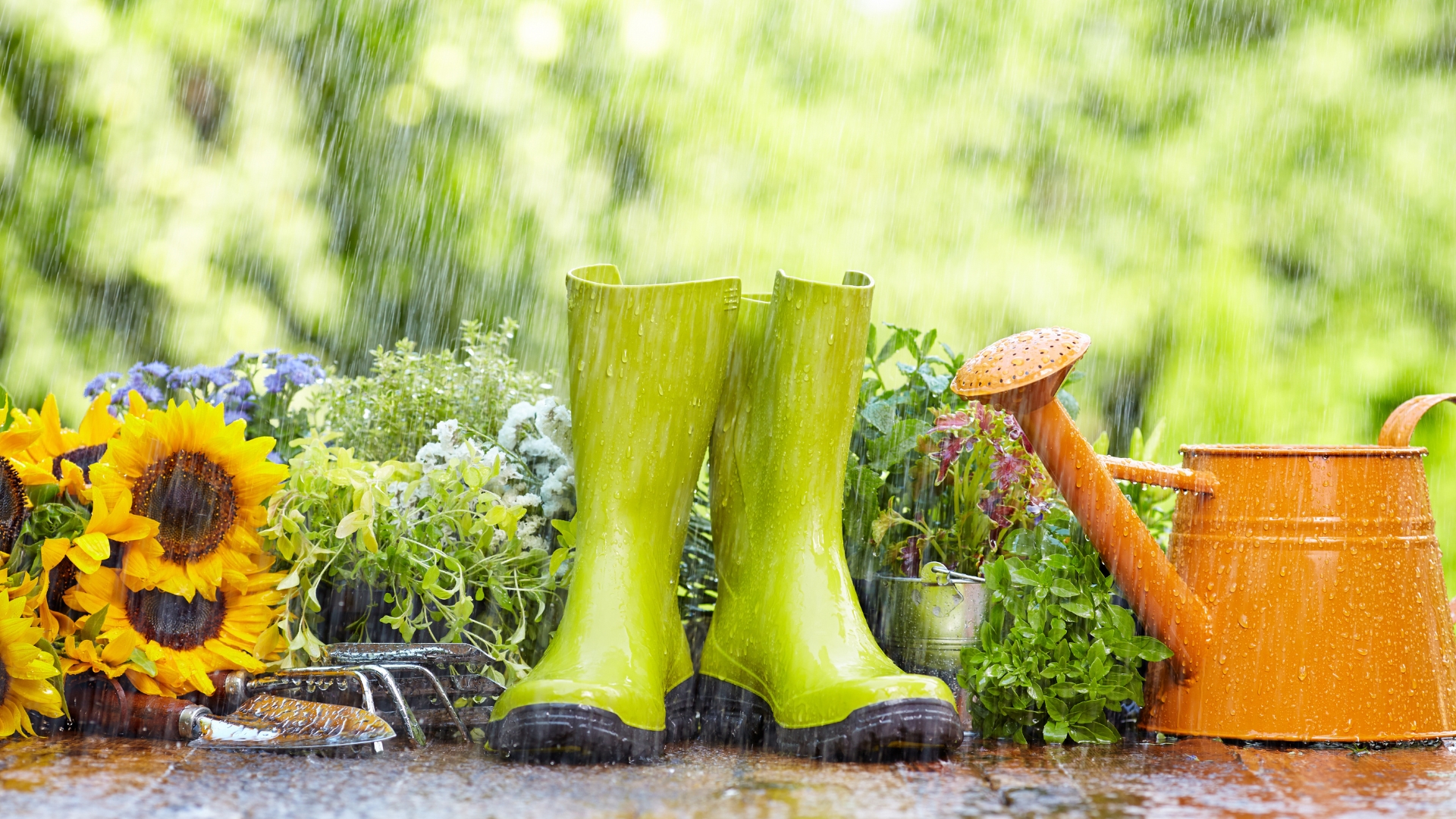 Gardening tool in rain