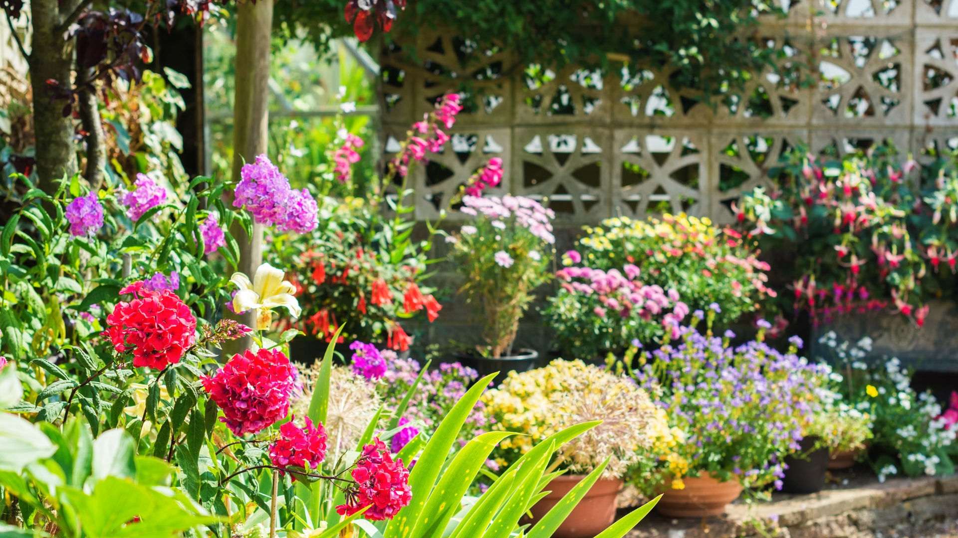 Beautiful backyard garden full of colorful flowers in pots and containers with a stone wall in the background, selective focus.