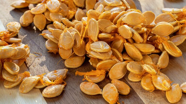 Pumpkin seeds extracted from pumpkin, raw, without processing and drying
