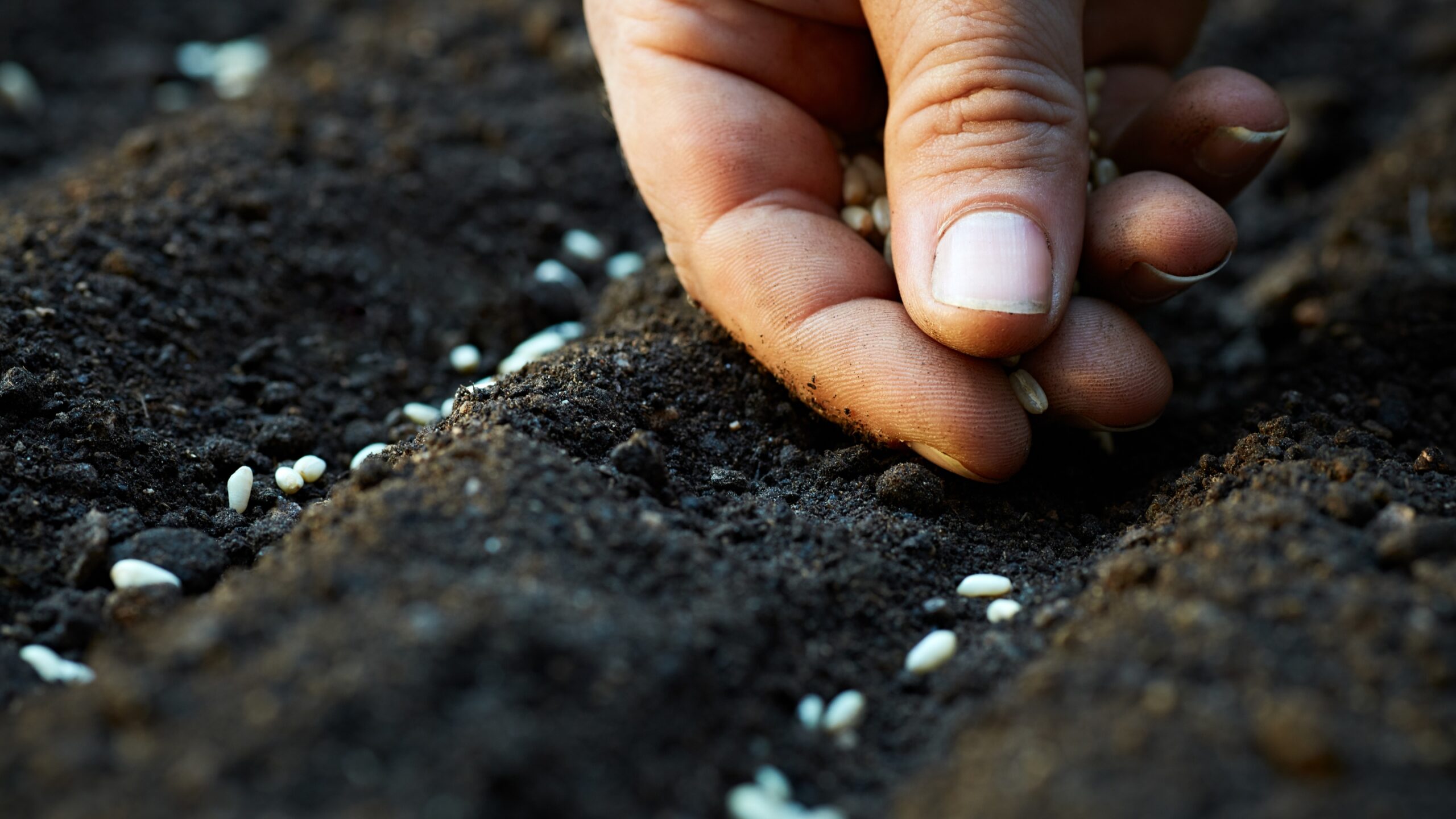 Planting seeds