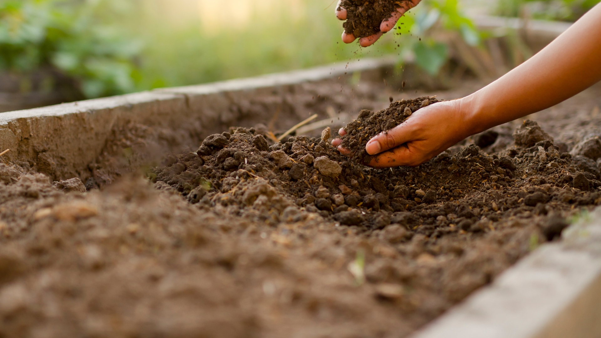 22 Mistakes That Are Ruining Soil Quality In Your Garden — And Easy Ways To Fix Them