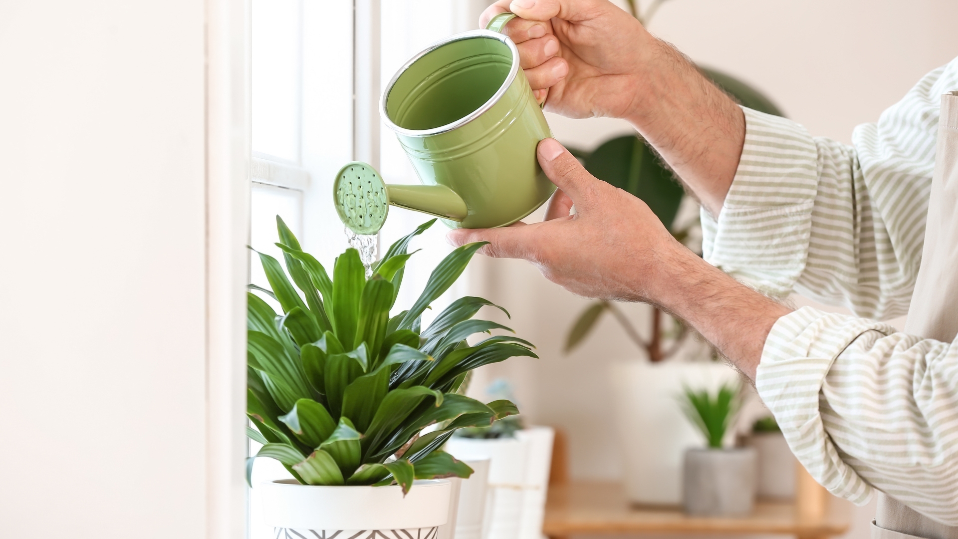 23 Mistakes EVERYONE Makes When Watering Their Plants (And How to Avoid Them)