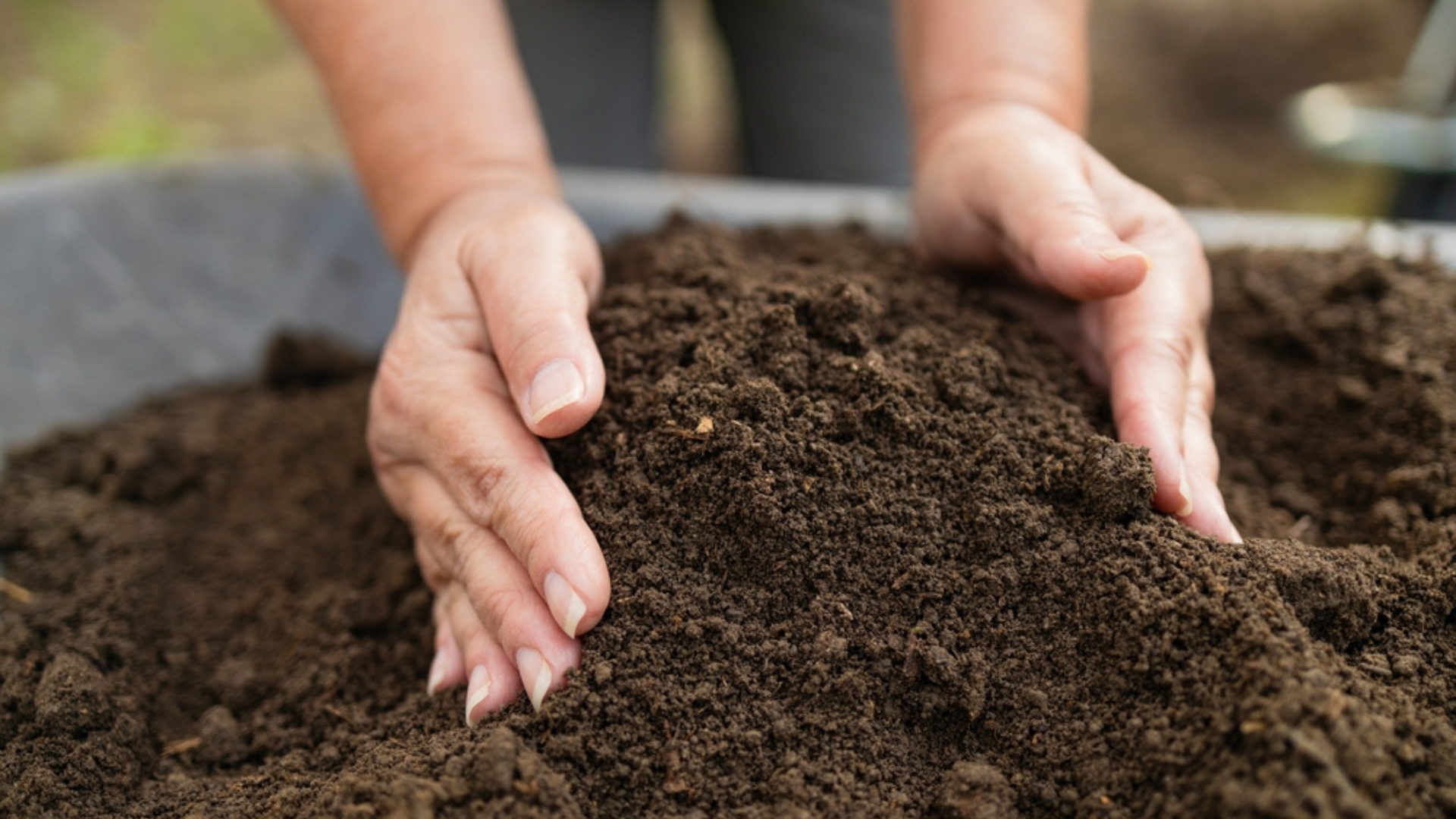 woman holding a handful of soil