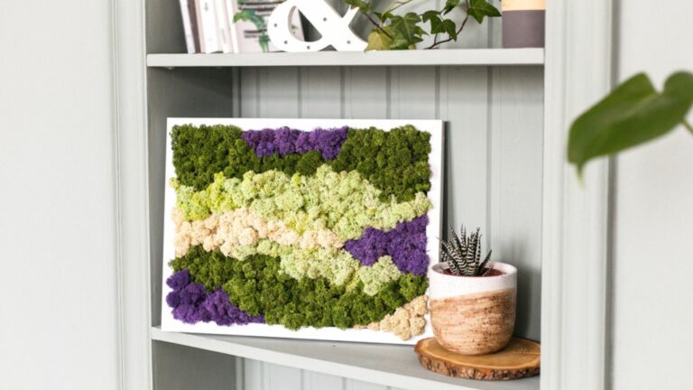 elegant housplant display