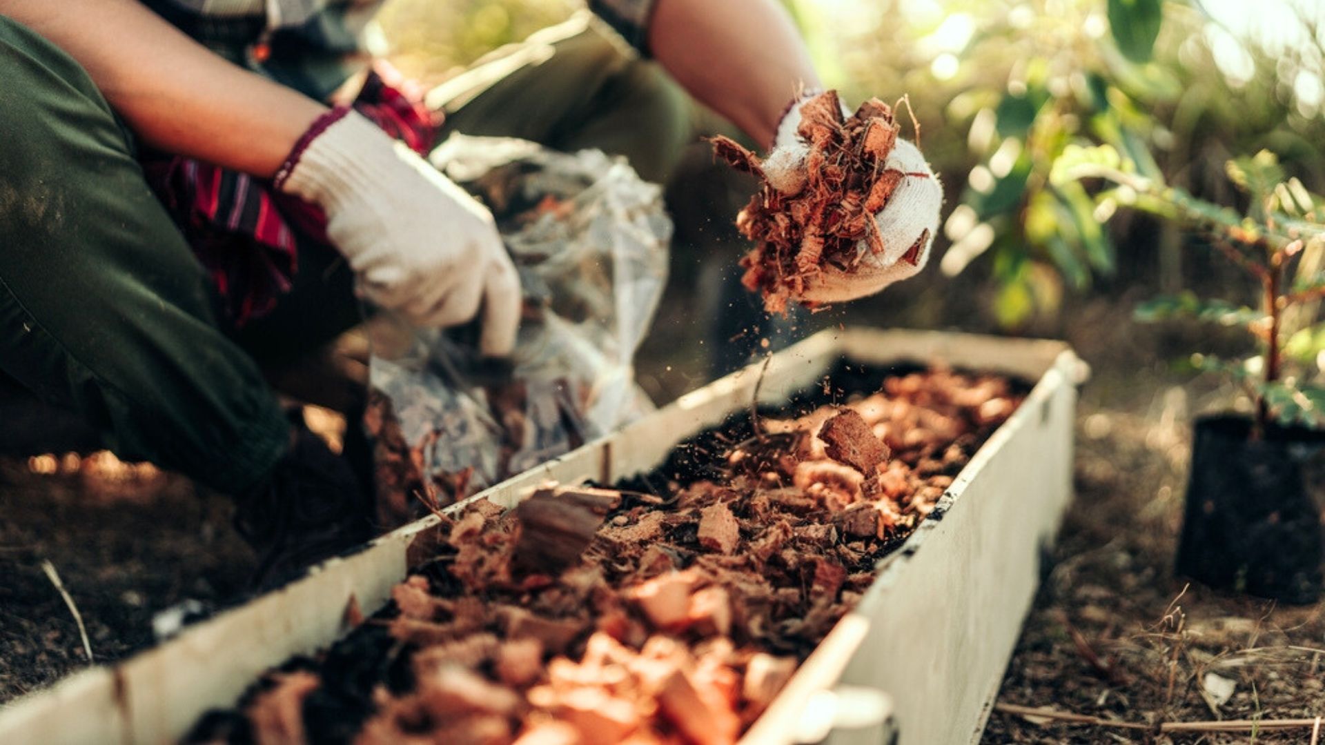 25 Smart Uses For Coconut Husks In The Garden