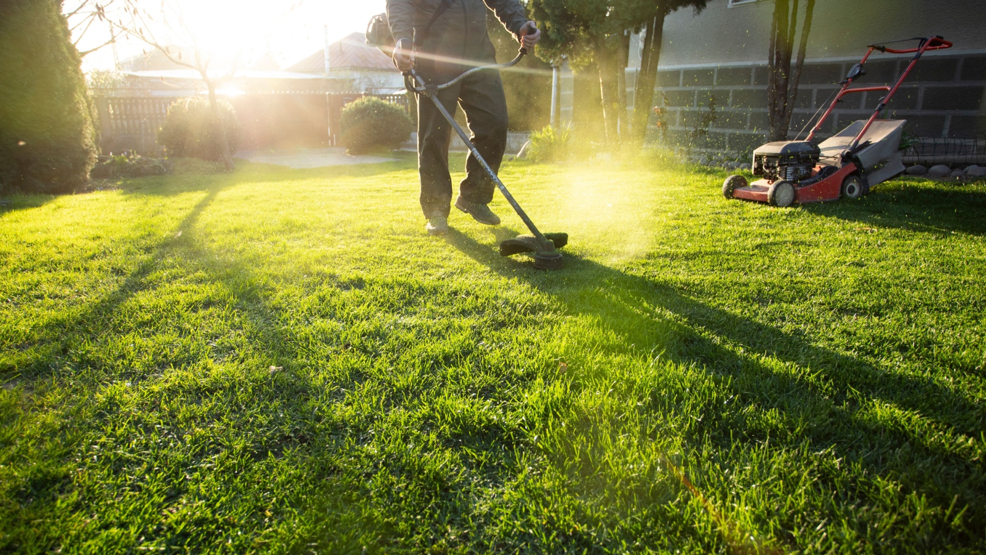 26 Things You Should Avoid If You Want A Perfect Lawn