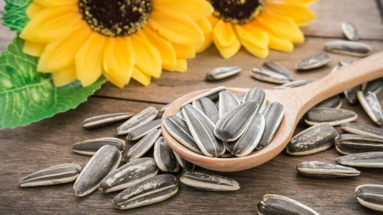 sunflower seed shells