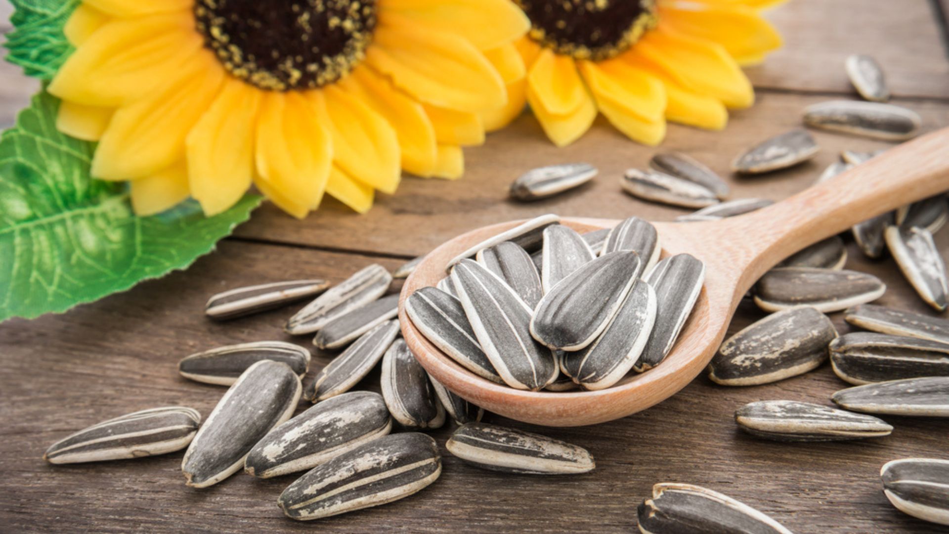 22 Reasons To Keep Your Sunflower Seed Shells