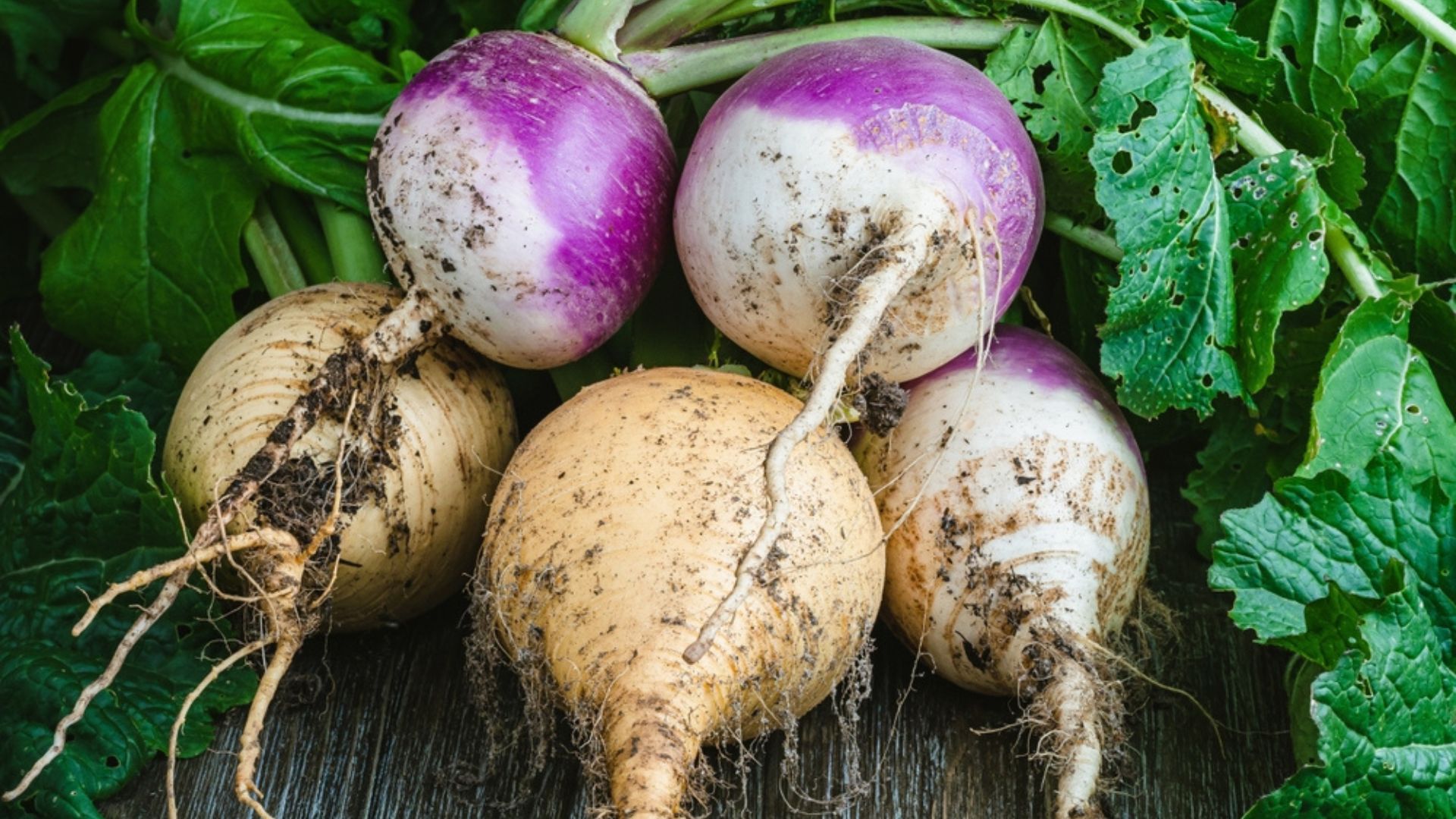 28 Unusual Root Vegetables You Should Try