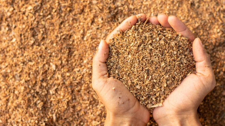 Lots of sawdust or wood chips in a man's hand.