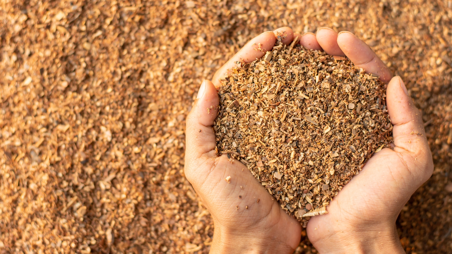 29 Survival Uses for Sawdust You’ll Wish You Knew Sooner