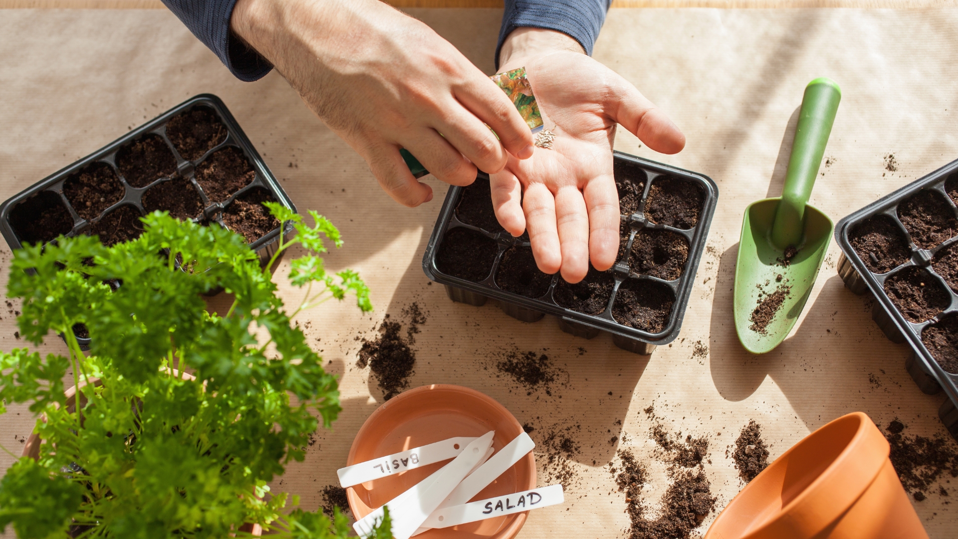 30 Must-Have Essentials for Starting Seeds Indoors