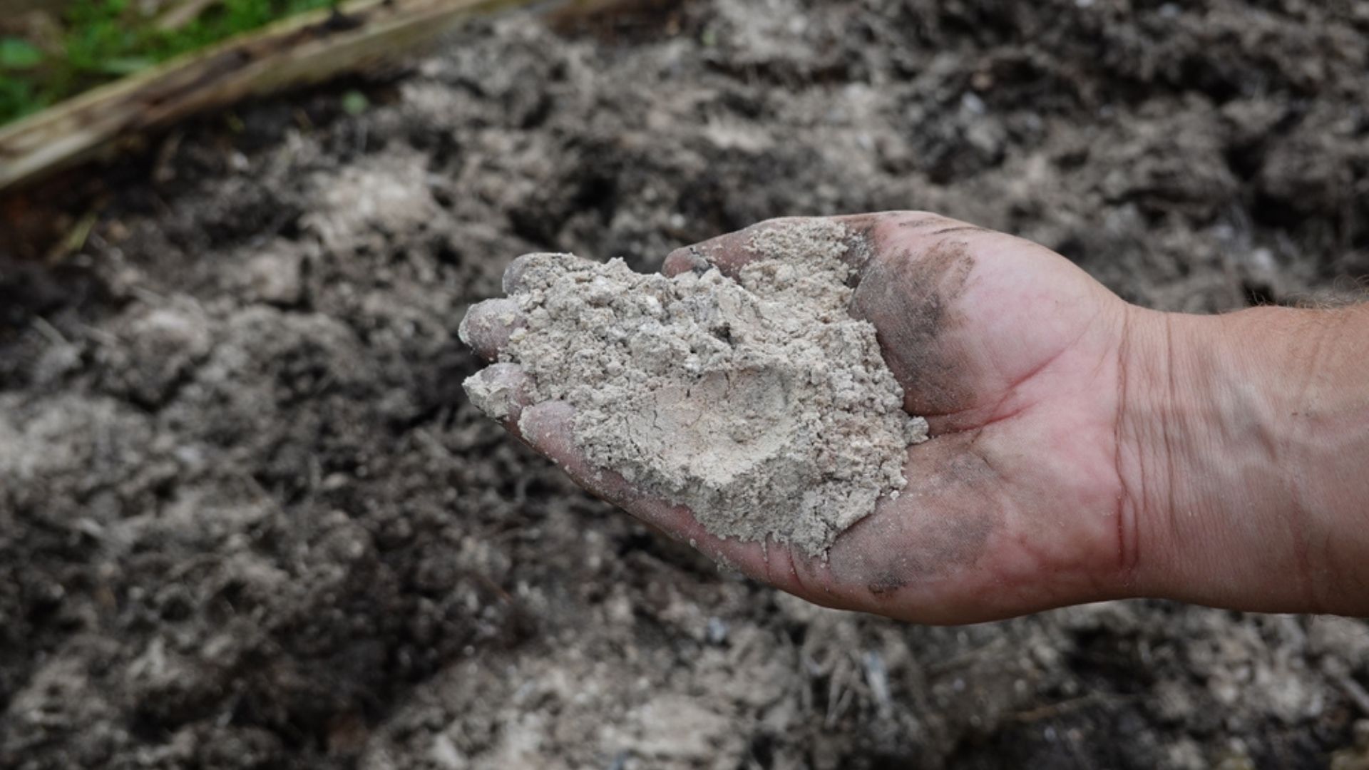 30 Ways Wood Ash Can Supercharge Your Soil