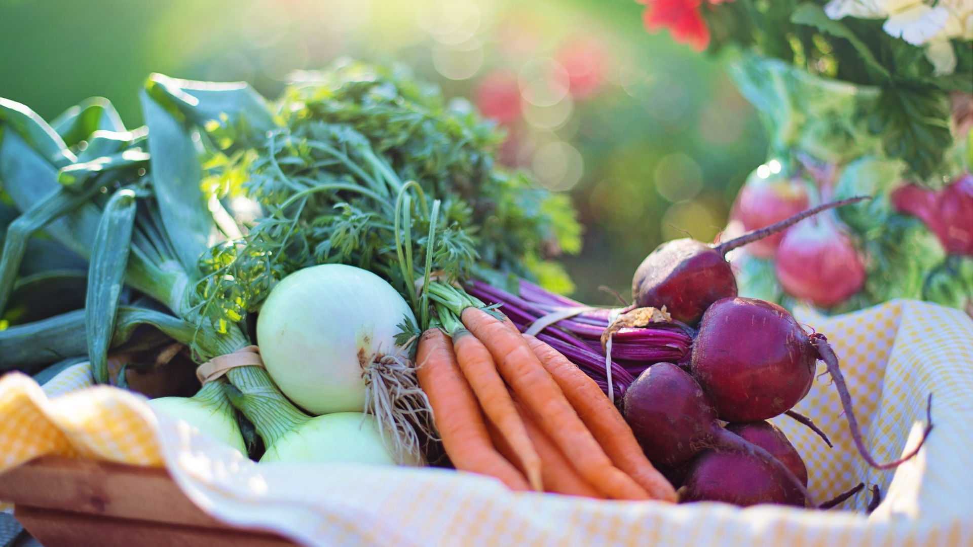 homegrown vegetable on the table outdoors